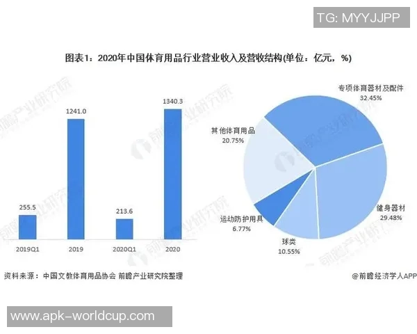 十年间体育明星收入变化分析与未来趋势展望