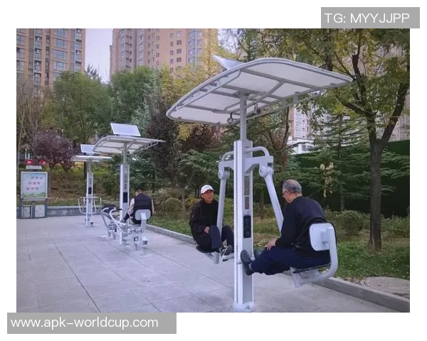 国产健身器材崛起助力全民健身新时代打造健康生活新选择