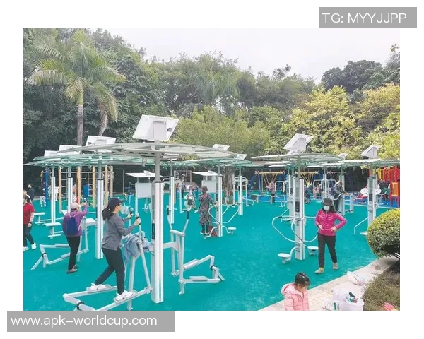 探索公园健身器材的多样选择与使用方法助你健康生活